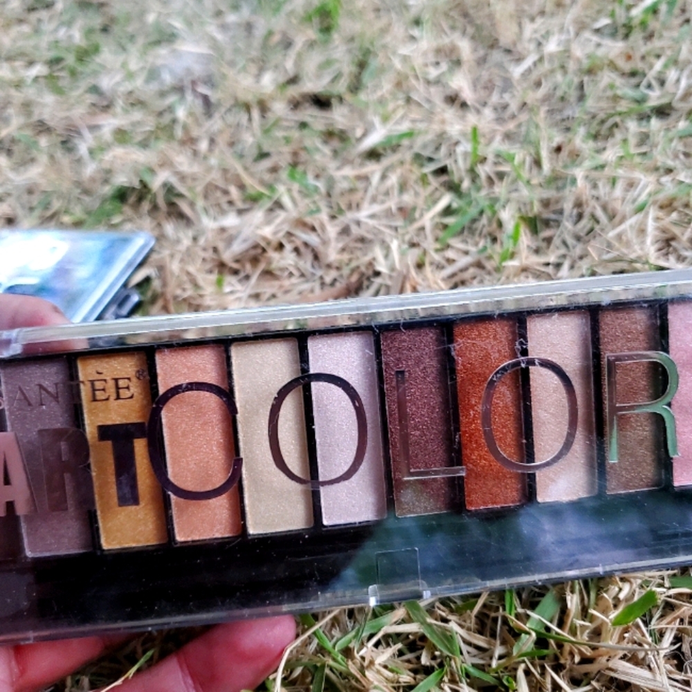 Santee Art Colors eyeshadow pallet #4